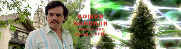 МДПВ Нефтегорск
