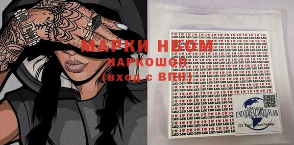стаф Новокубанск