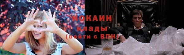 шишки Нея