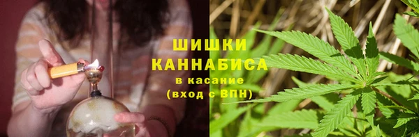 стаф Новокубанск