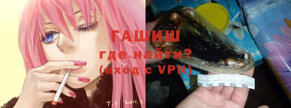 стаф Новокубанск