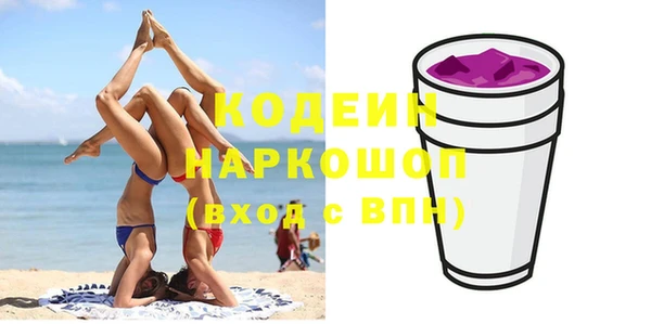 стаф Новокубанск