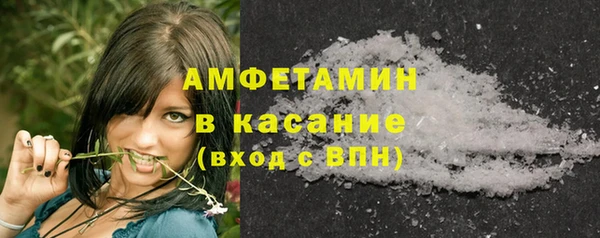 сатива Нефтекумск