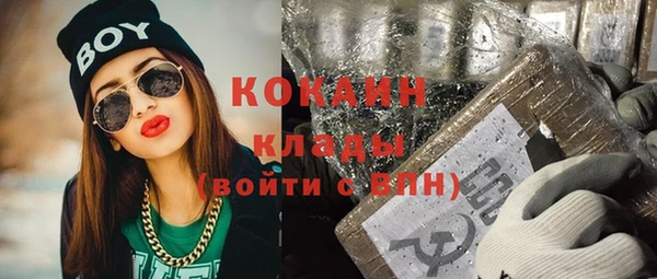 сатива Нефтекумск