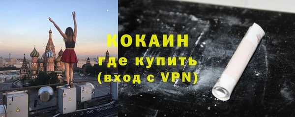 стаф Новокубанск