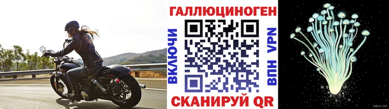 Псилоцибиновые грибы ЛСД  Мураши 