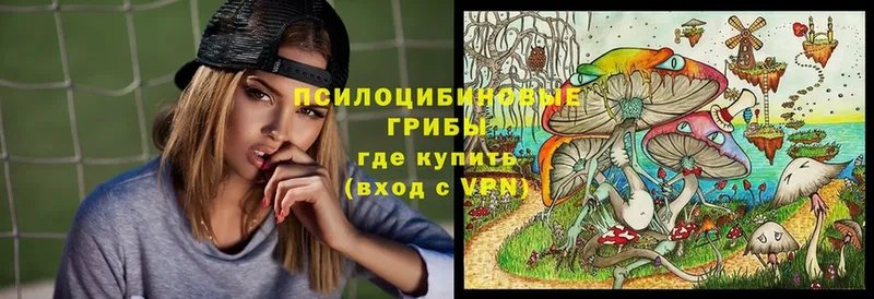 сайты даркнета какой сайт  купить закладку  Мураши  Псилоцибиновые грибы Psilocybe 